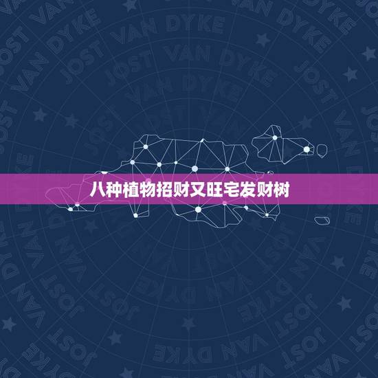 八种植物招财又旺宅发财树,发财树全身都是宝,种在家里旺风水,好吃好看还 八种植物招财又旺宅发财树,发财树全身都是宝,种在家里旺风水,好吃好看还