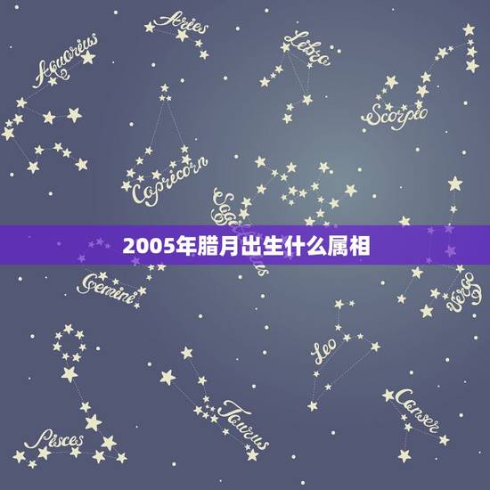 2005年腊月出生什么属相，农历05年12月初3出生属什么生肖