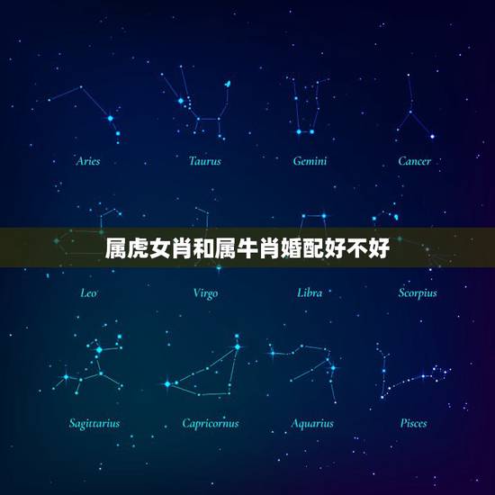 属虎女肖和属牛肖婚配好不好，属牛和属虎的人结婚好不好