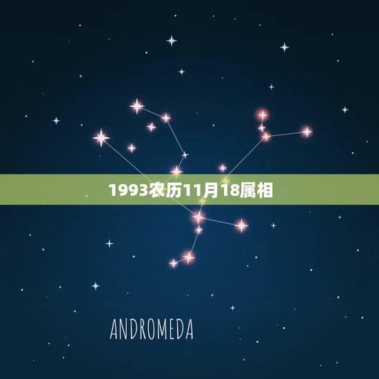 1993农历11月18属相,1993年农历的11月号18是什么星座呢 1993农历11月18属相,1993年农历的11月号18是什么星座呢