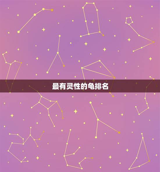 最有灵性的龟排名,哪种乌龟通人性有灵性 最有灵性的龟排名,哪种乌龟通人性有灵性