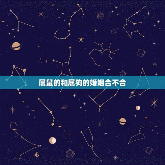 属鼠的和属狗的婚姻合不合，属狗跟属鼠的合不合