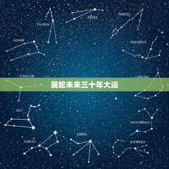 属蛇未来三十年大运,77属蛇哪年财运更好 属蛇未来三十年大运,77属蛇哪年财运更好