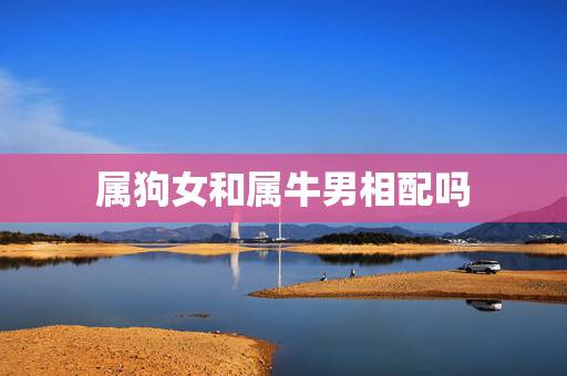 属狗女和属牛男相配吗,女牛男狗能过一辈子吗 属狗女和属牛男相配吗,女牛男狗能过一辈子吗