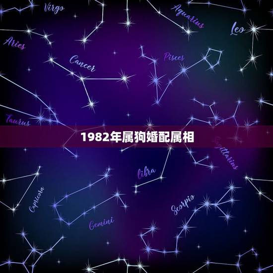 1982年属狗婚配属相，82年属狗男婚配情况