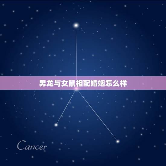 男龙与女鼠相配婚姻怎么样，属相婚配：男属龙和女属鼠相配吗？