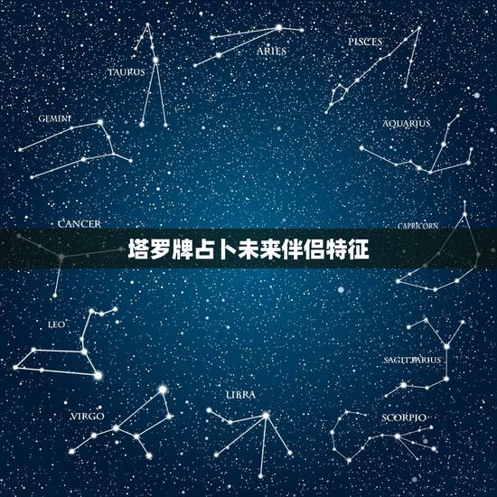 塔罗牌占卜未来伴侣特征，塔罗占卜实例：未来的另一半是什么样子的