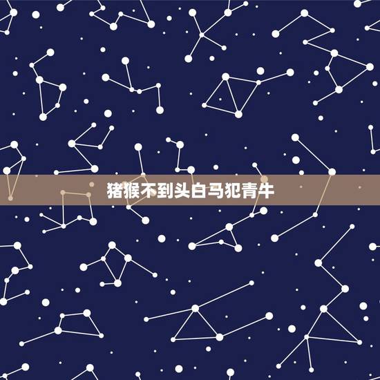 猪猴不到头白马犯青牛,羊鼠千万别在一起 猪猴不到头白马犯青牛,羊鼠千万别在一起