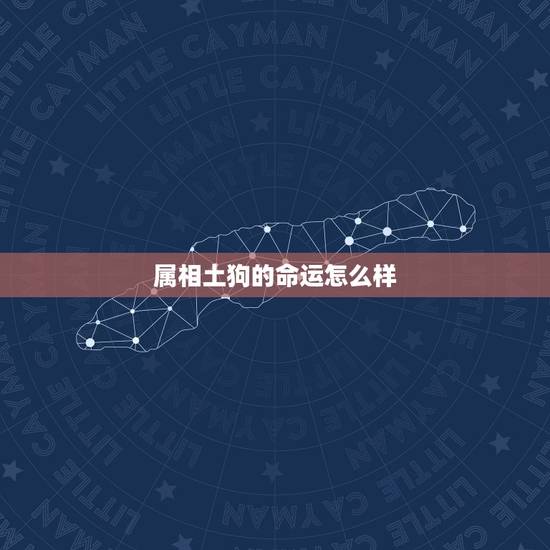属相土狗的命运怎么样,小土狗怎么养,每天吃什么? 属相土狗的命运怎么样,小土狗怎么养,每天吃什么?