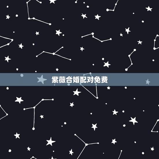 紫薇合婚配对免费，紫薇命盘解析，两人缘分 各性格等 婚配问题急，求高人