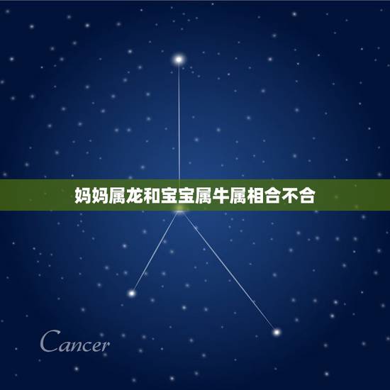 妈妈属龙和宝宝属牛属相合不合，属牛和属龙相克吗