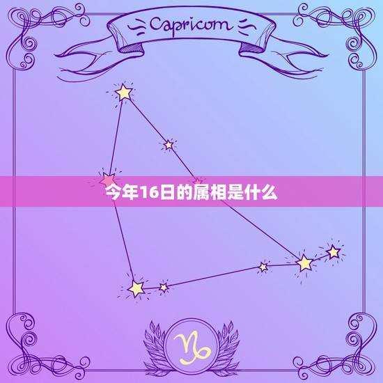 今年16日的属相是什么,今年的2023年1月16号腊月十四是属什么? 今年16日的属相是什么,今年的2023年1月16号腊月十四是属什么?