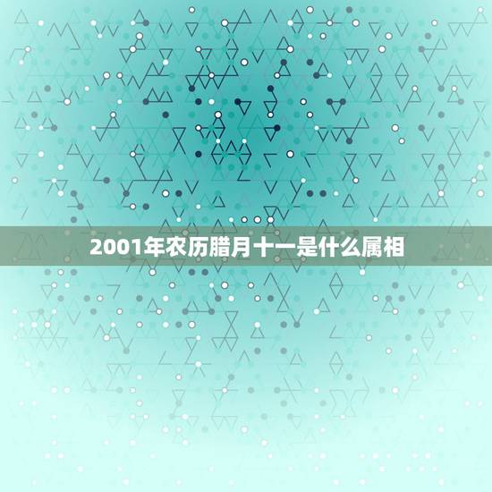 2001年农历腊月十一是什么属相,2001年农历腊月十一是什么星座 2001年农历腊月十一是什么属相,2001年农历腊月十一是什么星座