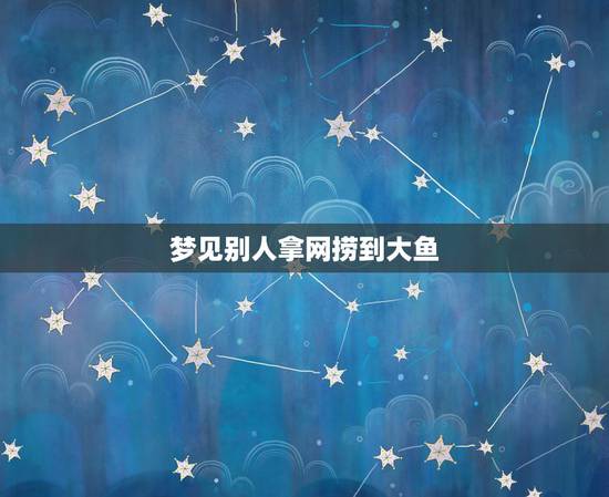 梦见别人拿网捞到大鱼，梦见别人用网捕了很多大鱼