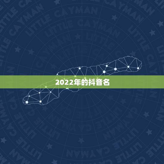 2022年的抖音名，2023年抖音名字