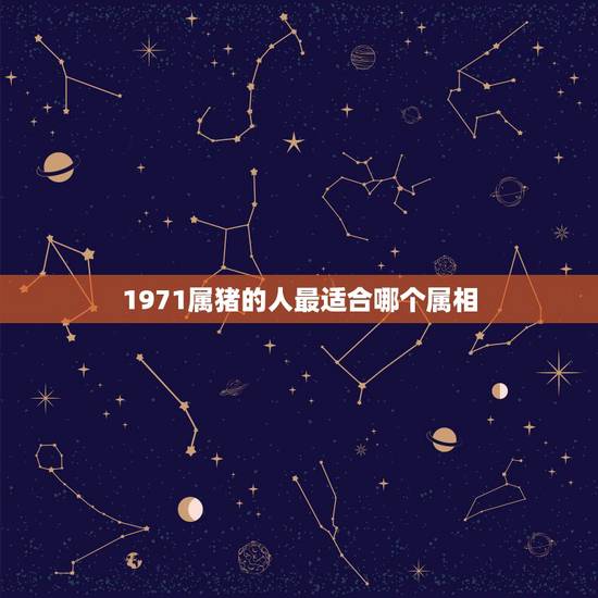 1971属猪的人最适合哪个属相，1971属猪的人与什么属相的人为最佳合