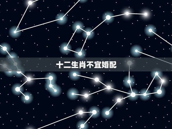 十二生肖不宜婚配,十二生肖哪些不能相配一 十二生肖不宜婚配,十二生肖哪些不能相配一