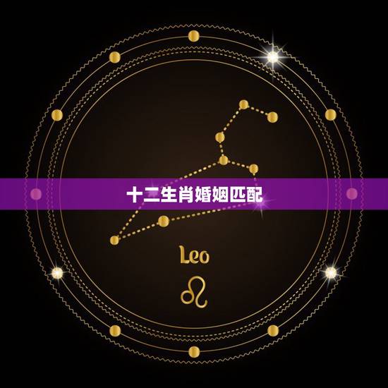 十二生肖婚姻匹配,十二生肖属相婚姻匹配 十二生肖婚姻匹配,十二生肖属相婚姻匹配