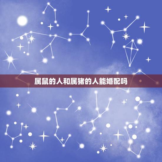 属鼠的人和属猪的人能婚配吗,属鼠和属猪的相配吗 属鼠的人和属猪的人能婚配吗,属鼠和属猪的相配吗