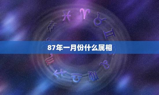 87年一月份什么属相，87年1月28日属什么生肖？什么星座？