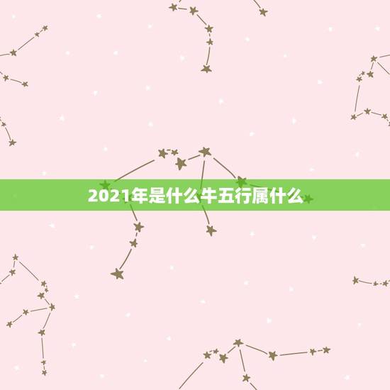 2021年是什么牛五行属什么，2021年五行属什么，缺什么