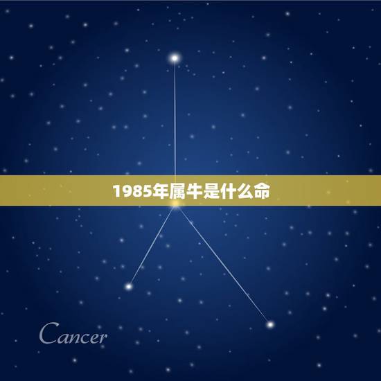 1985年属牛是什么命,85年属牛一生三大劫难 1985年属牛是什么命,85年属牛一生三大劫难