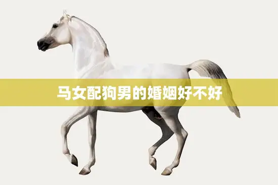 马女配狗男的婚姻好不好(探讨爱情是否能超越生肖) 马女配狗男的婚姻好不好(探讨爱情是否能超越生肖)