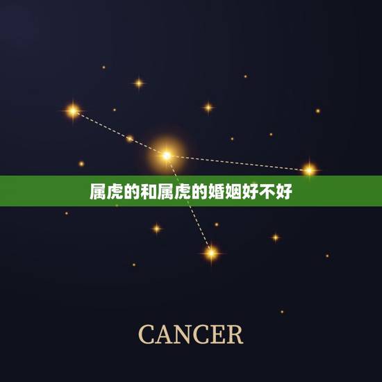 属虎的和属虎的婚姻好不好,属虎和属虎相配吗? 属虎的和属虎的婚姻好不好,属虎和属虎相配吗?