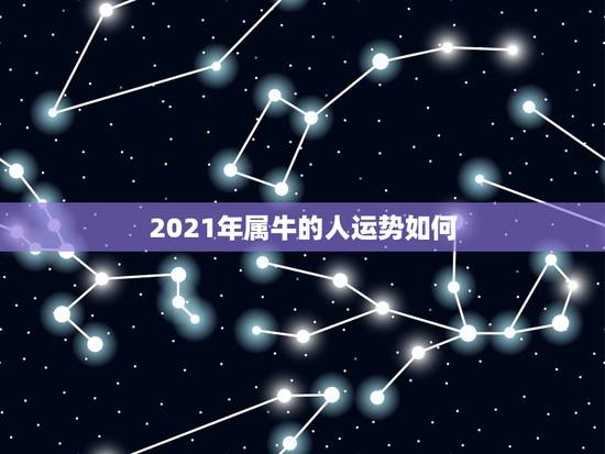 2021年属牛的人运势如何，2021年属牛的全年运势详解？