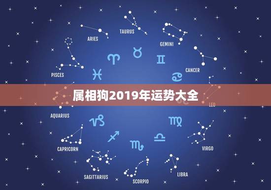 属相狗2019年运势大全,属狗2017年运势及运程 属相狗2019年运势大全,属狗2017年运势及运程