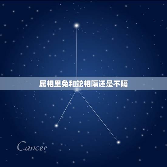 属相里兔和蛇相隔还是不隔,兔和蛇配吗 属相里兔和蛇相隔还是不隔,兔和蛇配吗