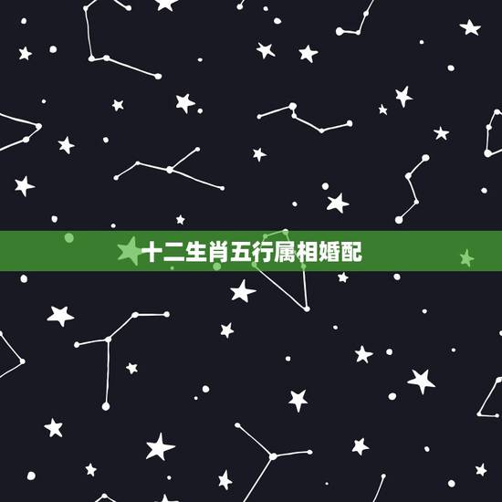 十二生肖五行属相婚配,求十二生肖(五行)相生相克表 十二生肖五行属相婚配,求十二生肖(五行)相生相克表