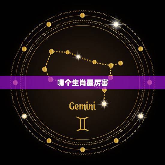 哪个生肖最厉害，12生肖武功更高的动物