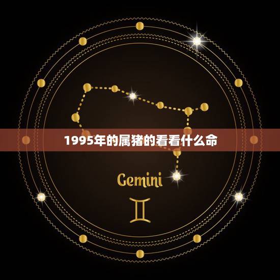 1995年的属猪的看看什么命,1995年是什么命?1995年出生的属猪 1995年的属猪的看看什么命,1995年是什么命?1995年出生的属猪