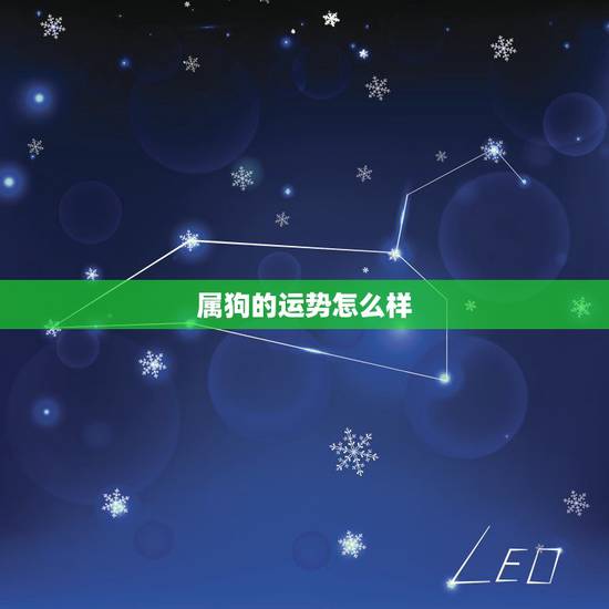 属狗的运势怎么样,属狗的人一生中的命运怎样 属狗的运势怎么样,属狗的人一生中的命运怎样