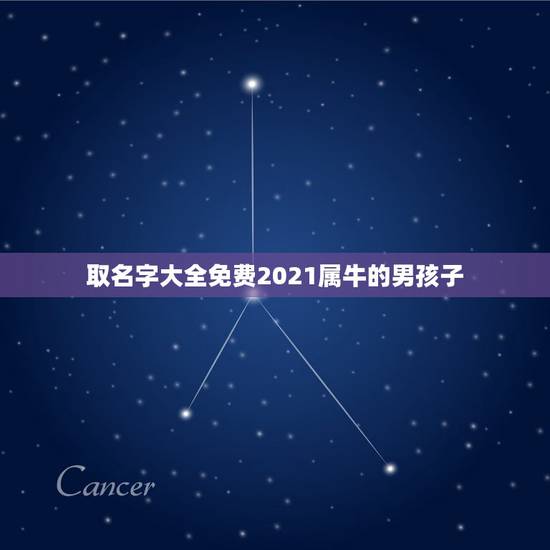 取名字大全免费2021属牛的男孩子，2021属牛宝宝取什么名好