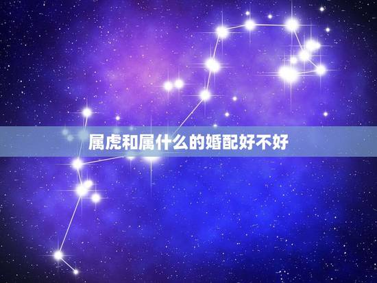 属虎和属什么的婚配好不好，属虎和属什么合适
