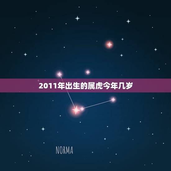 2011年出生的属虎今年几岁，属虎几点出生大富大贵