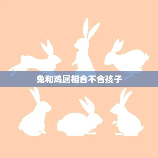 兔和鸡属相合不合孩子(属相匹配影响孩子性格吗)