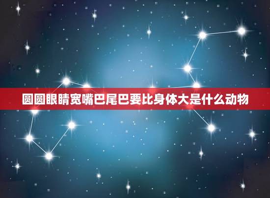 圆圆眼睛宽嘴巴尾巴要比身体大是什么动物，猜迷语:圆圆眼睛宽嘴巴，尾巴要