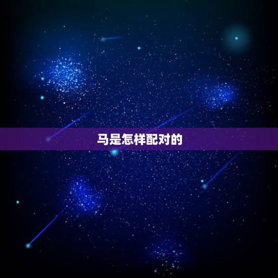 马是怎样配对的，马洛菲这个名字怎样