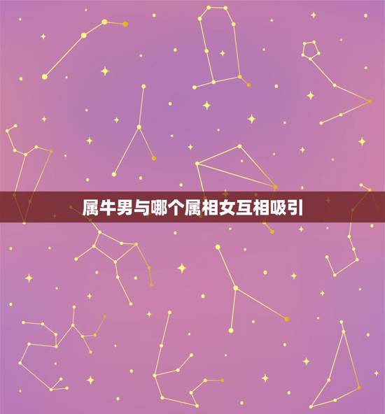 属牛男与哪个属相女互相吸引，属牛男和属虎女生什么属相的孩子好