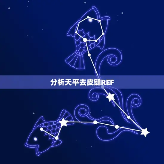 分析天平去皮键REF 分析天平去皮键REF