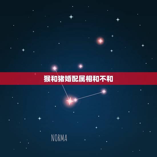 猴和猪婚配属相和不和,属猴的和属猪的婚姻相配吗 猴和猪婚配属相和不和,属猴的和属猪的婚姻相配吗