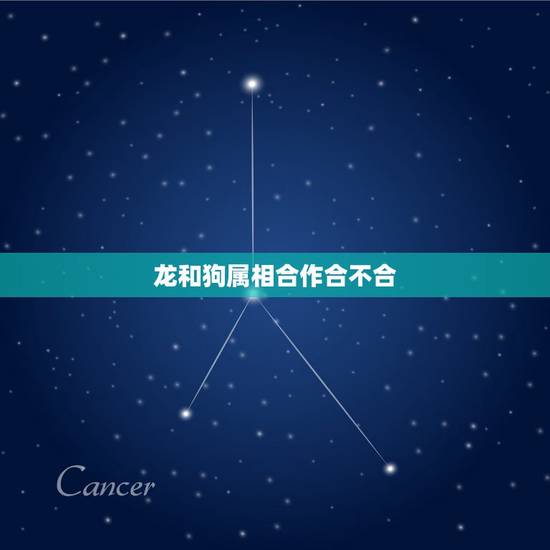 龙和狗属相合作合不合,属狗的和什么属相最合财,财越旺 龙和狗属相合作合不合,属狗的和什么属相最合财,财越旺