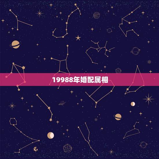 19988年婚配属相,八字合婚男19988年12月23日女19994年 19988年婚配属相,八字合婚男19988年12月23日女19994年