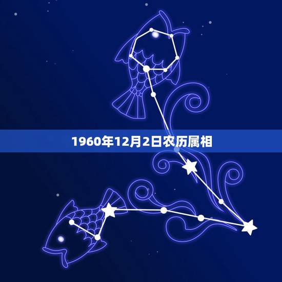 1960年12月2日农历属相,1960年是属什么生肖 1960年12月2日农历属相,1960年是属什么生肖