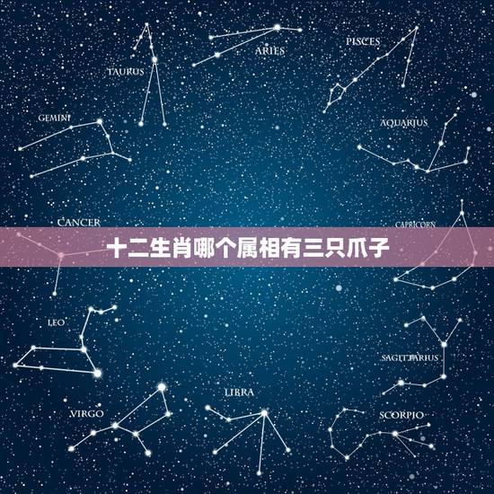 十二生肖哪个属相有三只爪子，十二生肖中哪种动物只有三只爪？