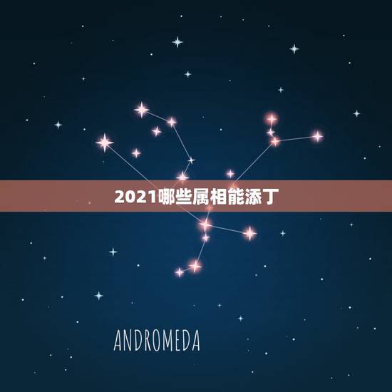 2021哪些属相能添丁，2021年喜得贵子的男生肖