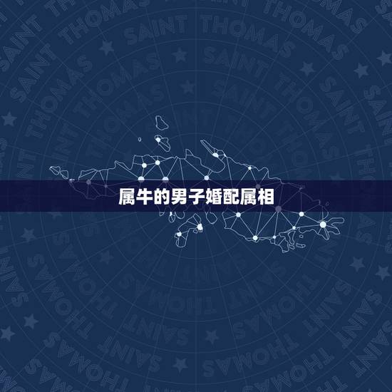 属牛的男子婚配属相,属牛女性和什么属相男性最配 属牛的男子婚配属相,属牛女性和什么属相男性最配